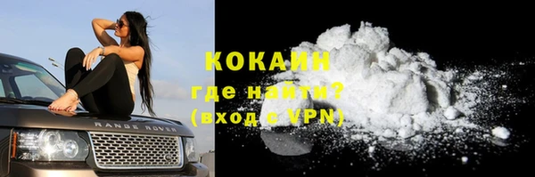 сатива Козельск