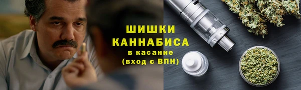 сатива Козельск