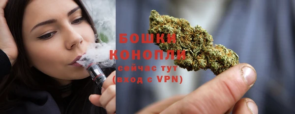 сатива Козельск