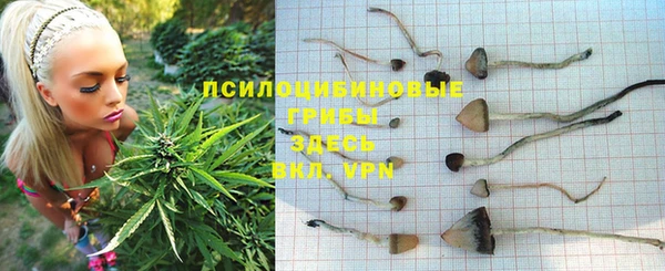 прущая мука Козловка