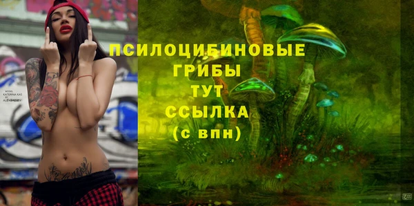 прущая мука Козловка