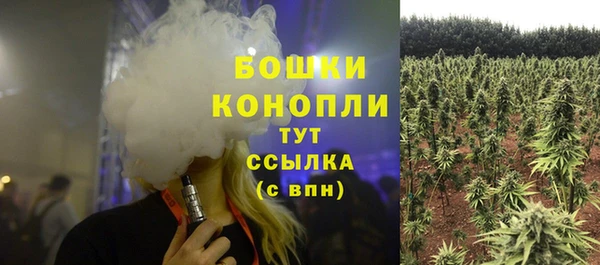 сатива Козельск