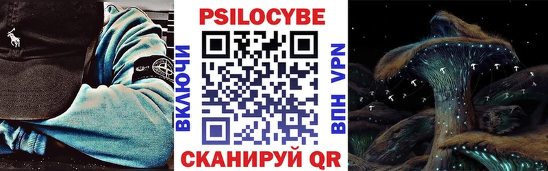 Псилоцибиновые грибы Psilocybine cubensis  Купить  Валуйки 